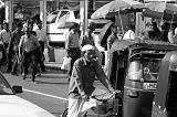 Sri Lanka Mimmo - 233